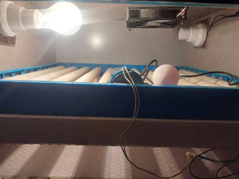 egg incubator(read add 1st please) 11