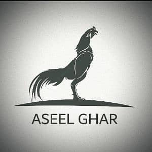 ASEEL