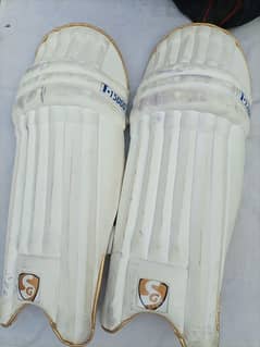 Leg pads for hard ball