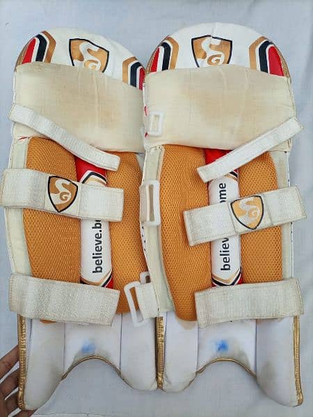 Leg pads for hard ball 1