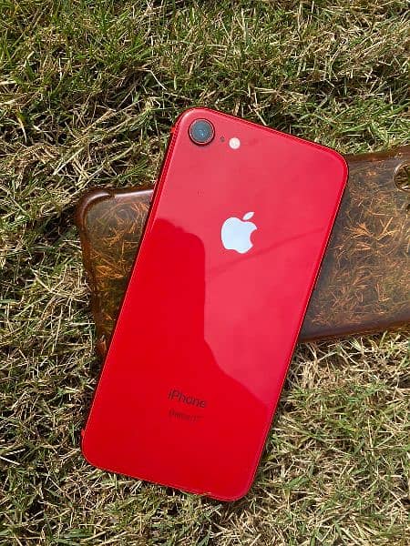 iphone 8 red(special edition) 6