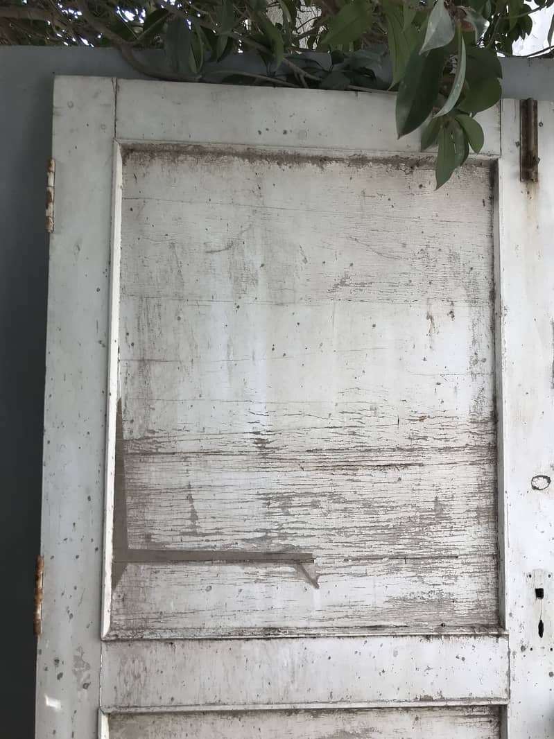 Wooden Door & Wooden Frame 1