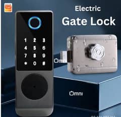 fingerprint wifi tuya application electric main gate door lock