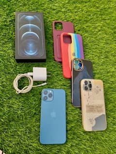 Iphone 12 pro max PTA Approved (256 gb)