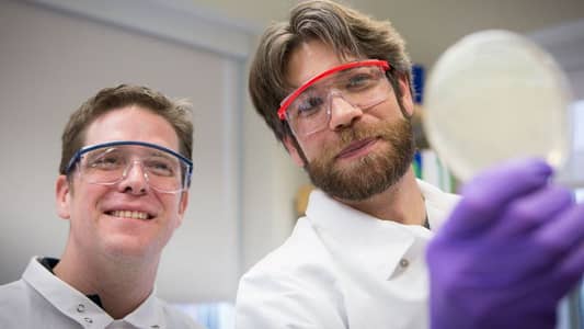 Petersafe eye Safety's Glasses available