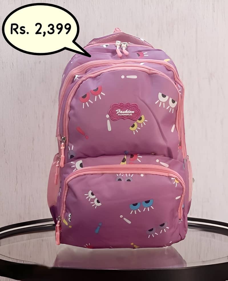 School and college backpack 2