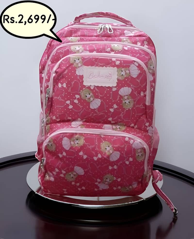 School and college backpack 12