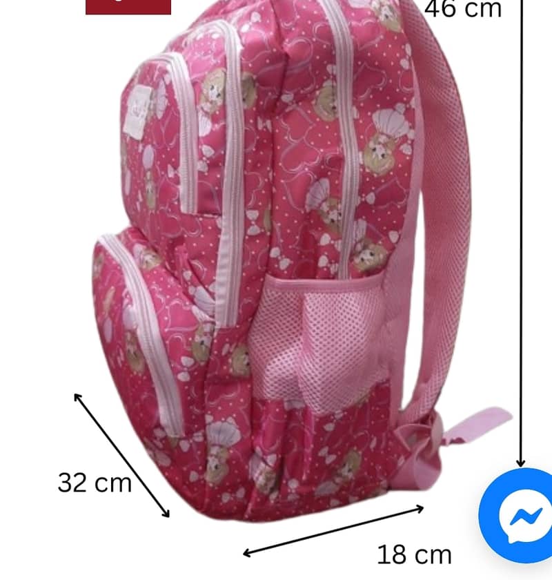 School and college backpack 14