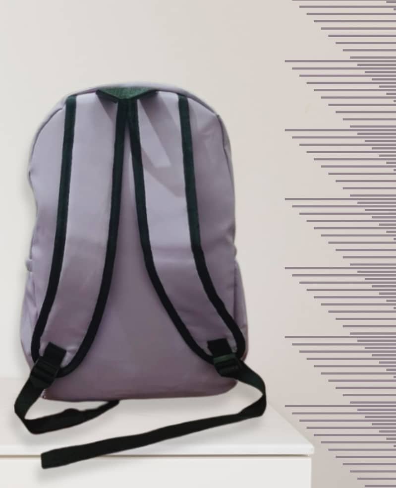 School and college backpack 16