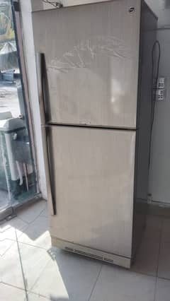 PEL fridge LArge jumboo size (0306=4462/443) luushhh sett221