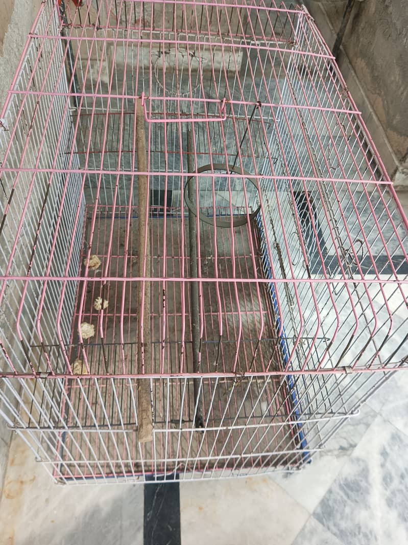 Cage for birds 0