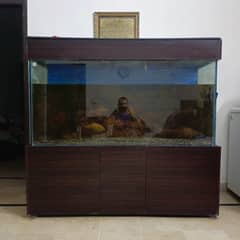 5 feet aquarium for sale in cheap rate with all accessories and fishes