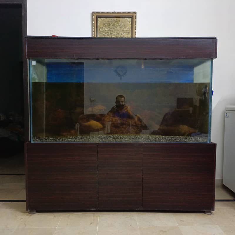 5 feet aquarium for sale in cheap rate with all accessories and fishes 0