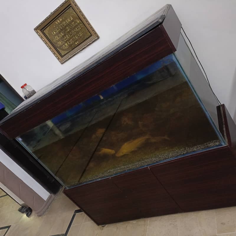 5 feet aquarium for sale in cheap rate with all accessories and fishes 1