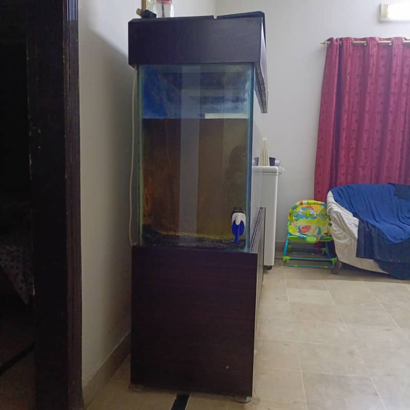 5 feet aquarium for sale in cheap rate with all accessories and fishes 2