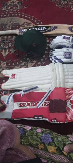 Cricket kit for lefti Batter Pads, Batt, Gloves, Helmet, Guard.
