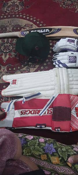 Cricket kit for lefti Batter Pads, Batt, Gloves, Helmet, Guard. 0