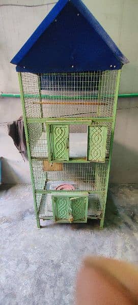 Solid Cage 1