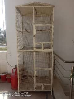 cage for parrots