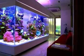 Aquarium, fish ponds, fish, aquarium accessories 0
