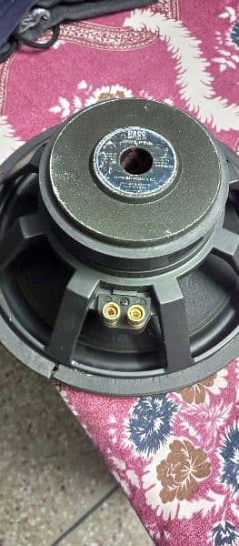 Alpine 12 inch woofer Original Japan 2