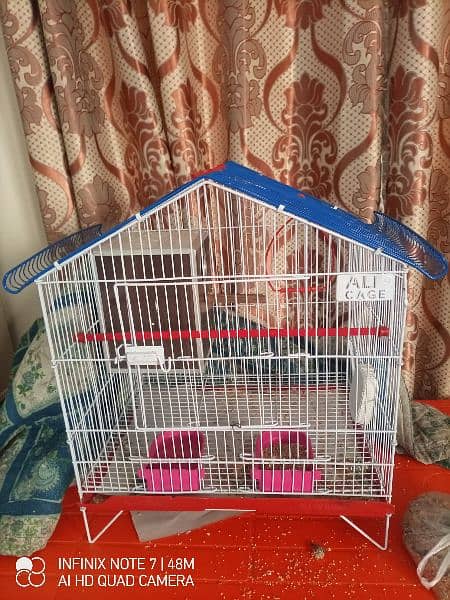 love birds with cage and box 3
