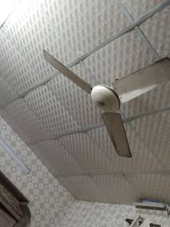 Super Fast Ceiling Fan