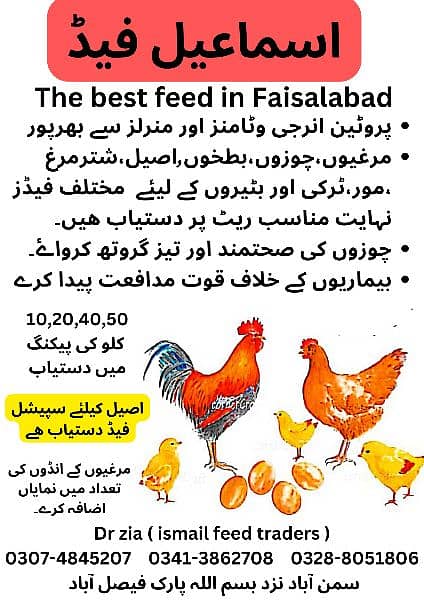 poultry feed & wanda (aseel,desi,ducks,desi,cow,goat,13) 1
