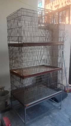 Bird's Cage