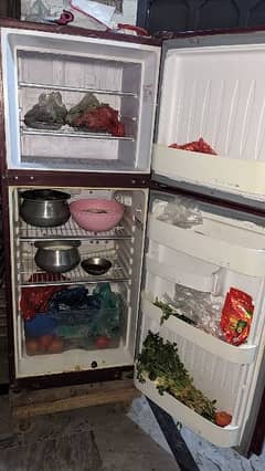 orient fridge medium size