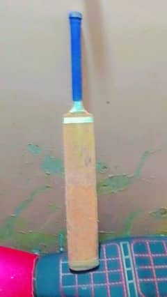 GM Cricket Bat 0