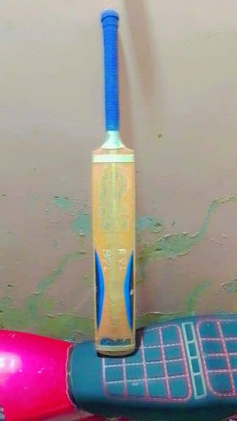 GM Cricket Bat 1