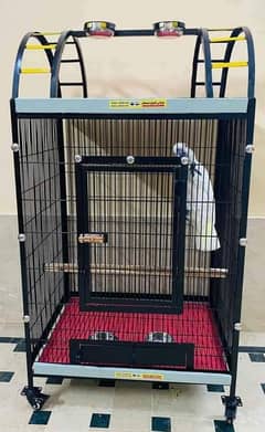 cages,Box factory Available, Cage, Birds