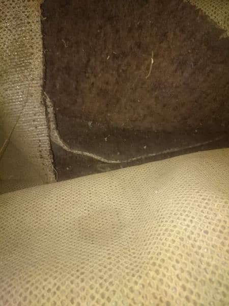 carpet brown colour 2