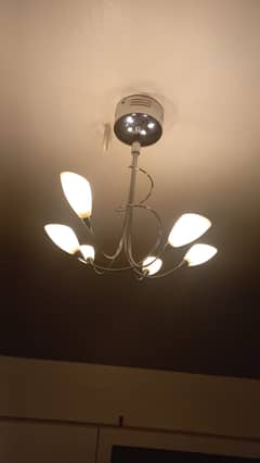 Imported wall ceiling hanging lights with G4 model small bulbs in it