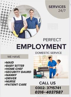 Maid/Baby sitter/Patient Attendant/Helper/Cook/Driver etc