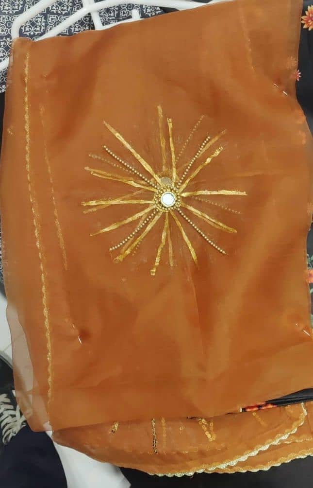 hand painting dupatta |Organza dupatta | organza hand printing dupatta 8