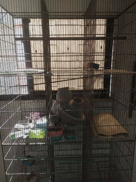 cage for sell 2