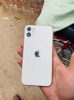 IPhone 11 for sale