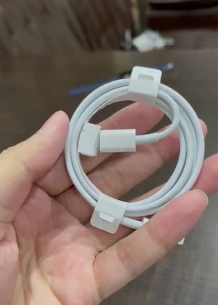 iPhone Type-C to Lightning Cable 1