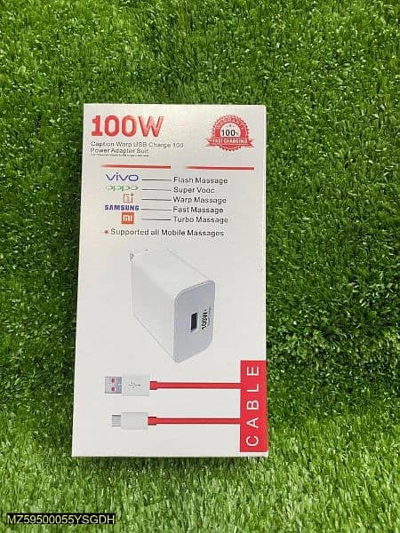 Type-C Fast 100 W Charger Sale 1