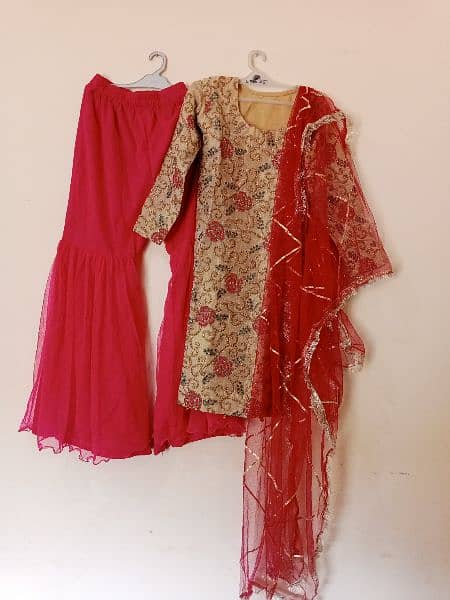 net gharar with golden embroided shirt with pink dupata 3