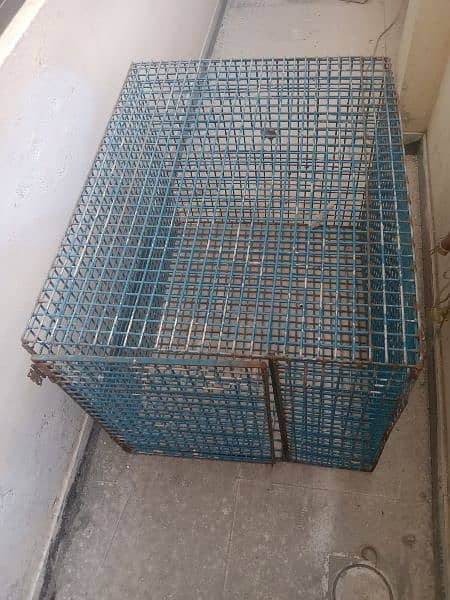 Cage for SALE 1