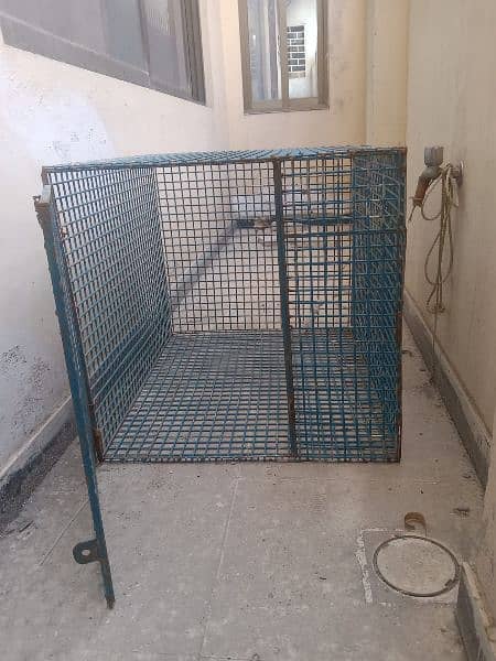 Cage for SALE 2
