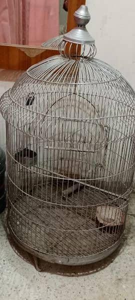 Fancy Parrot Cage 0