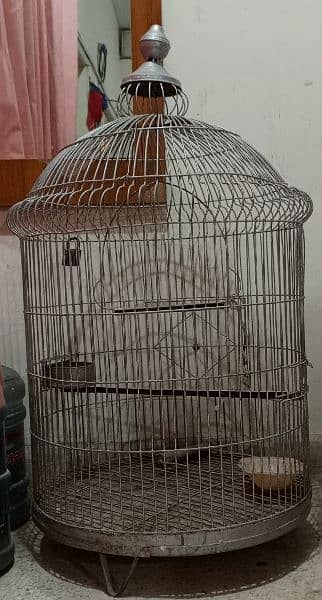 Fancy Parrot Cage 1