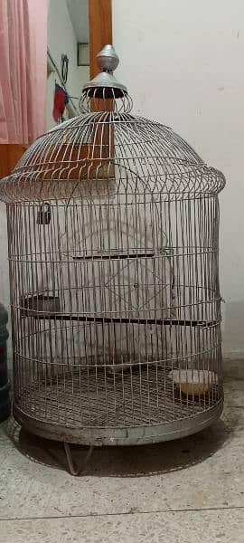 Fancy Parrot Cage 2