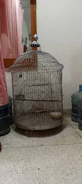 Fancy Parrot Cage 3