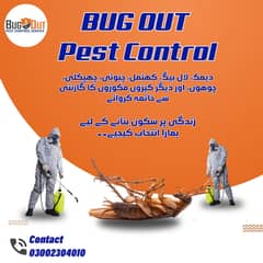 Fumigation | Bed Bugs | Cockroach | Termites | Deemak |Termite control