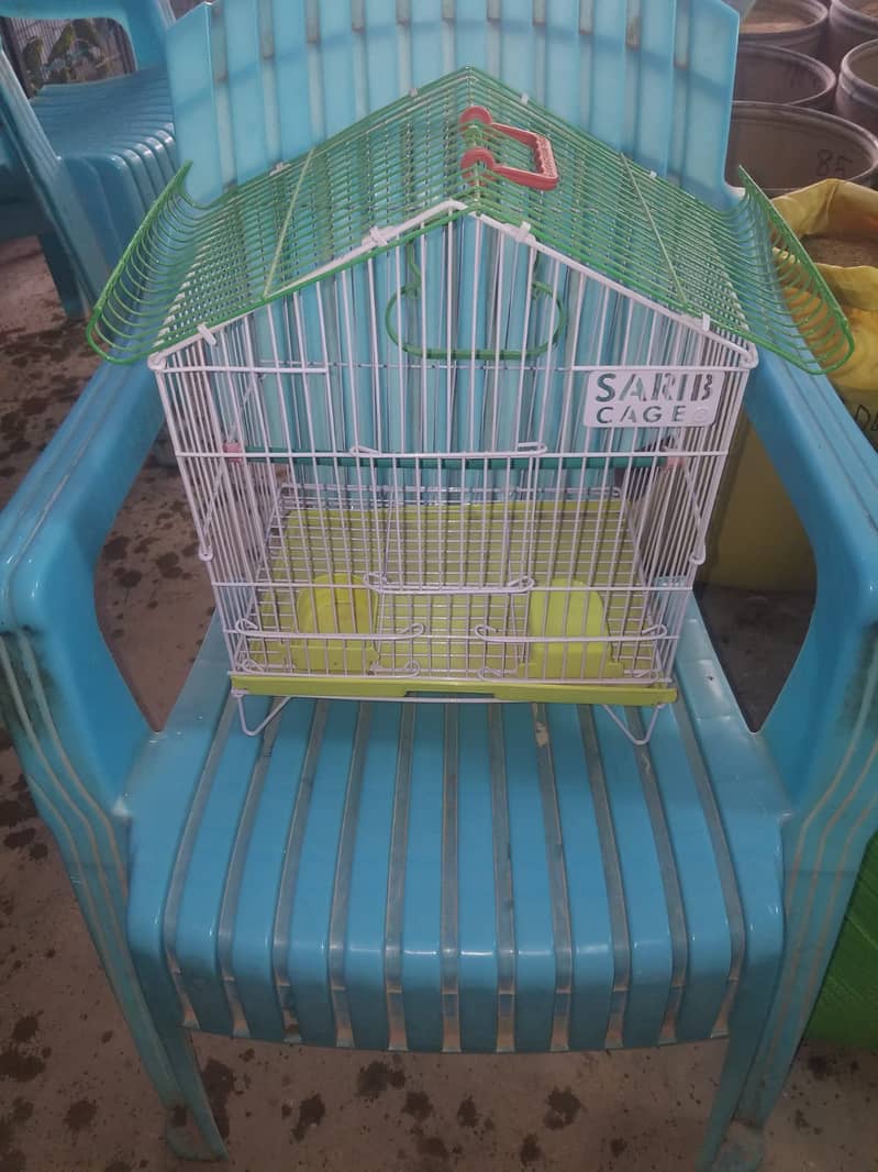 Cage Pinjra Parrot Bajri Australian Tota Budgies Pahari Raw03461400171 1